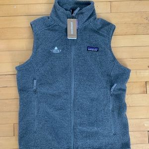 NWT Patagonia Synchilla Vest